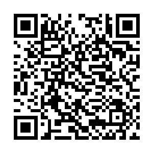 表面上更是暗中支持张鲁之子张富继续当东川之主二维码生成