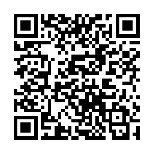 表面还淬上了一层从腐蚀荆棘根系里压榨出来的毒液二维码生成
