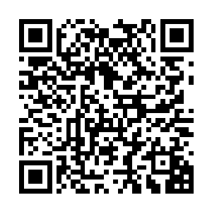 袁鸿现在那可是彻底激活了体内的通臂猿猴的血脉二维码生成