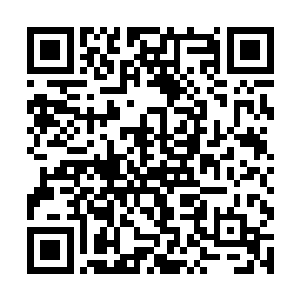 被一个刚刚转校过来的乡巴佬给揍得连路都走不了了二维码生成