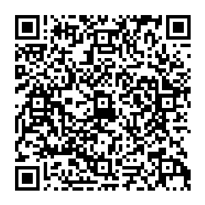 被两个人击中之后对方再也忍不住喷出了一口鲜血脸sè也是变得无比的苍白起来眼底也是闪过了一丝震怒的神情二维码生成