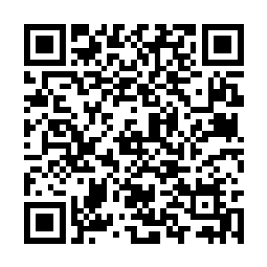 被事后归去翻找遗迹的大青根捡回了真正的玉虚宫二维码生成