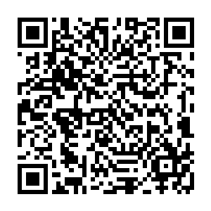 被大钟护住的两人身上黑色焦皮也在新生的血肉长好之后迅速剥离跌落到地上二维码生成