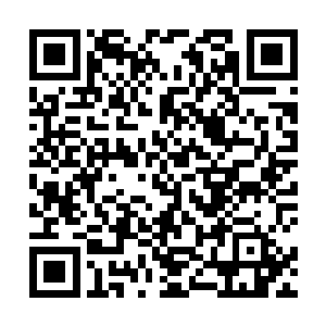 被女皇陛下看到苏落那张跟妍华几乎一模一样的脸……二维码生成