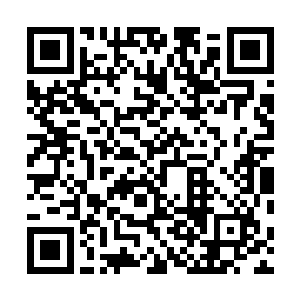 被杨戬当做沙包的太上大长老顿时也是彻底的失去了理智二维码生成