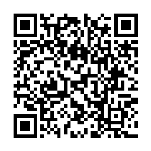 被欧尼斯特担忧着的雷林却没有进行什么禁忌实验二维码生成