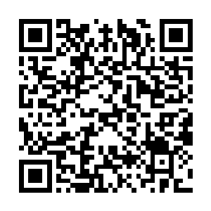 被池墨卿浑身所涣散出来的阴沉吓得一动也不敢动二维码生成