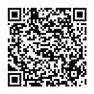 被流墨墨用拳头批评了一顿的罗生花委屈巴巴的把包裹朱颜的叶子移开了一些二维码生成