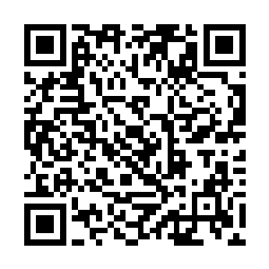 被百足蟒利用鳞片的蠕动和身体内脏的韧性给化解了二维码生成
