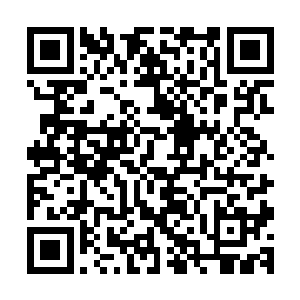 被耶逊烈和耶难精心设计出来辨认自己血脉后裔的机关识破了二维码生成