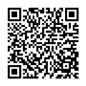 被谢大夫人拉起的谢柔惠也愕然抬起头不可置信的看着谢老夫人二维码生成