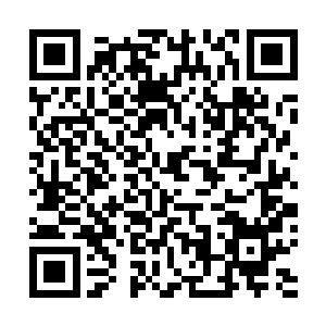 被转化的丧尸们被送进了长生种世界里做斗争等待着觉醒二维码生成