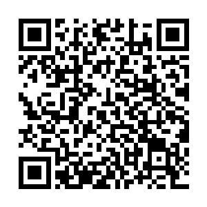 被闵素卿用术法束缚着的一叶潇湘身侧的漫天飞叶化为齑粉二维码生成