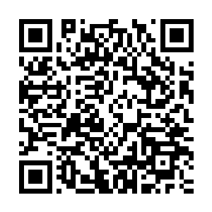 裴和杰就一直很注意整个双峰县领导的结构和他们白勺想法意图二维码生成