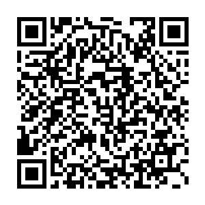 西乡开发区理论上管理着西乡开发区境内的所有的政府机关和单位二维码生成