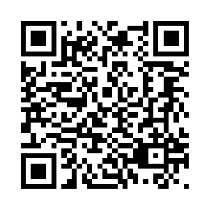 西卡森林才不是我们的第一次相遇呢二维码生成