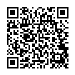 西域般若寺与北域寒光宗的上代宗主曾经在西荒大地大战三个月二维码生成