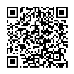 西罗的手枪从车窗伸出去瞄准飞在半空中的红衭连开两枪二维码生成