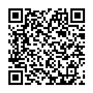 西装的设计经过了半个世纪的发展也没有本质上的发展二维码生成
