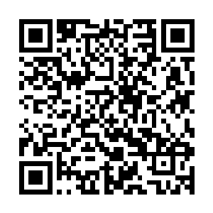 西陵皇自然不会再保白家这没什么大用还对自己不忠的臣子了二维码生成