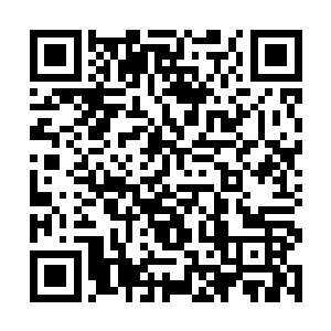 要……要让你们经历白发人……送……黑发人的痛了二维码生成