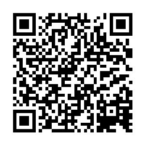 要不是他们破坏了我的计划……你早被封在坛子里二维码生成