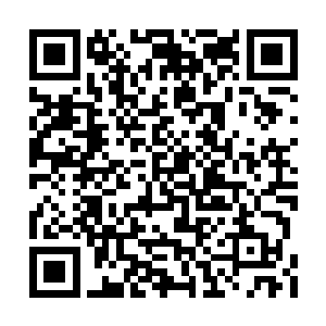 要不是你姐姐和我们说我们到现在还被蒙在鼓里二维码生成