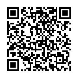 要不是全嬷嬷说是专门为他们弄的对他们有好处二维码生成