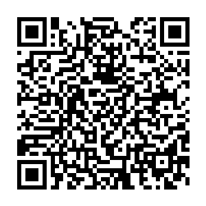要不是因为佣兵工会内部不允许打斗的话恐怕这里已经血流成河了二维码生成