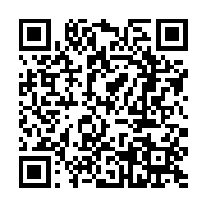 要不是看在风暮寒的面子上她才不会管这么多规矩呢二维码生成