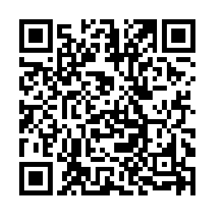 要不是看见宴会上那些政商名流对他畏惧三分的样子二维码生成