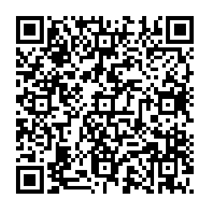 要不是蓝灵姐姐的善良让自己彻底的无法去怪她甚至是冒出任何排挤她的心思的话二维码生成