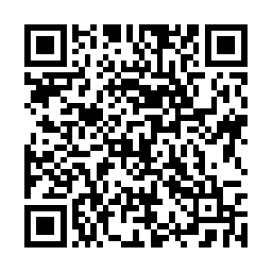 要不是这花园花草斜倒一片和香案倒下的满地狼藉二维码生成