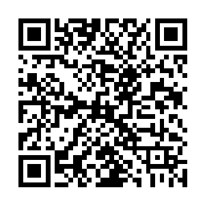 要不然两位少女如出一辙的笑容模式肯定叫他们怀疑了二维码生成