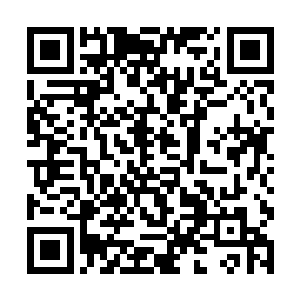 要不然他也不会特意等到五十级才回到这个模式中来二维码生成