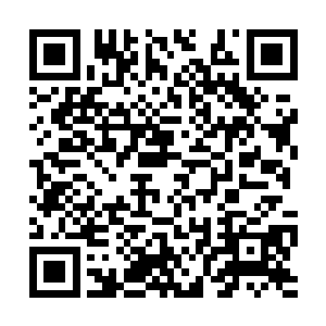 要不然太师叔也不会顧不上这里而去帮上面出力了二维码生成