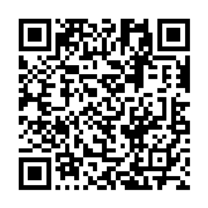 要不要在这里将那个持枪傀儡也给一起炼化了再离开二维码生成