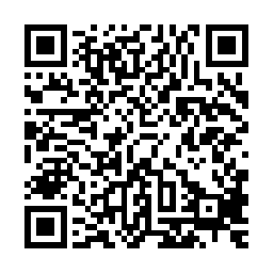 要么就是秦方自己每隔一段时间就往修罗之心中注入一股修罗气二维码生成