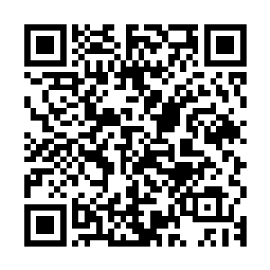 要么永世沉沦在梦境中无法苏醒要么吸收梦花力量神识强大一倍二维码生成
