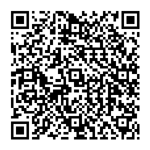 要么这两个改造人就各自选择一条路走下去……那样秦方就相当于是等到了两个人分开行动了二维码生成