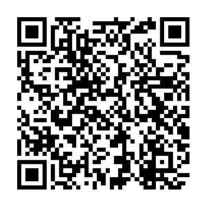 要回来上班我也鼓起很大的勇气――我猜我是已经把一辈子的年假都预支完了二维码生成