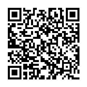 要将杨家时代守护的神灵之棺用来和玄学界的势力交易二维码生成