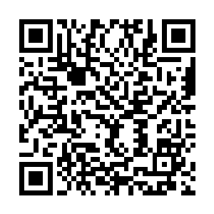 要是一般的打架斗殴之类的有期徒刑的我可以批条暂借二维码生成