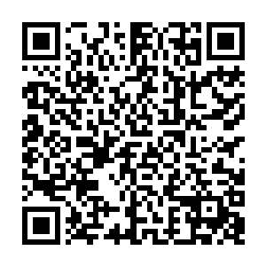 要是孙振林让龙傲天将三长老杀死的话那对于整个丹盟的打击可是十分的巨大的二维码生成