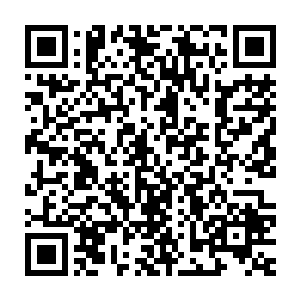 要是实在查不出来的话……只要能查到那个伍公子住在哪里也可以二维码生成