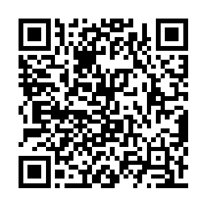 要是桐冠道人能够一直这样不停的御使地煞毒焰二维码生成