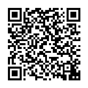 要是此刻在轩辕之丘的金权坊市放出消息要拍卖一颗这样的果实二维码生成
