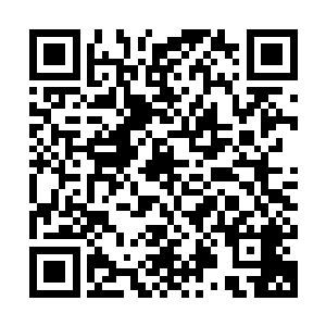 要是没有一点倚靠又怎么会乖乖的在这岛屿之中等待他们的到来二维码生成