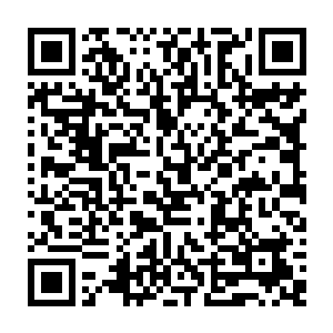 要是老公再因为我们出什么事的话那我们姐妹这一辈子真的就无法原谅自己了二维码生成