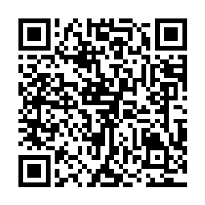 要是让孙姨看见了还得以为我是大姨妈来了墨迹了满床呢二维码生成